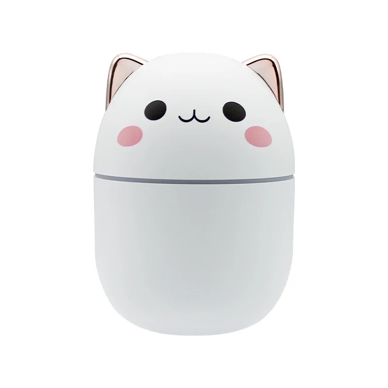 mini humidificateur